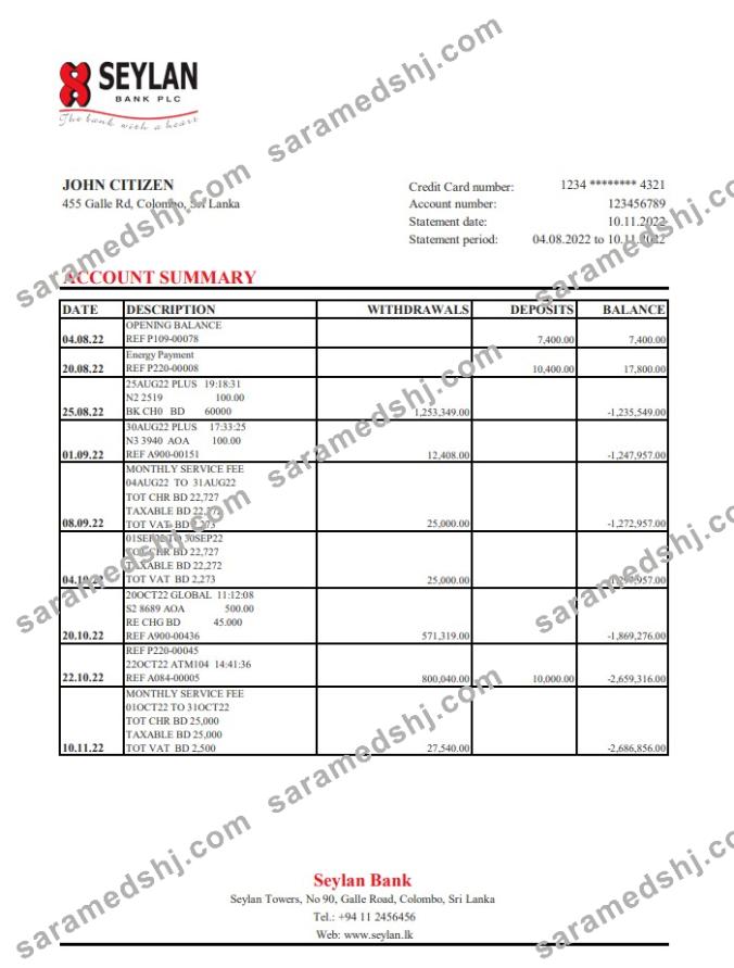 Sri Lanka Seylan bank statement xls